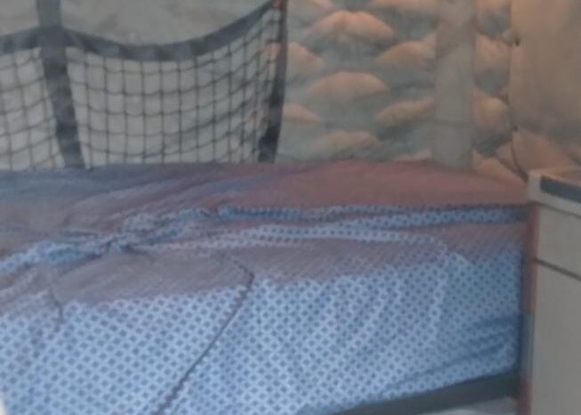 2015 Freightliner Cascadia 125 full