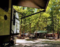 2021 Forest River Cherokee Grey Wolf full