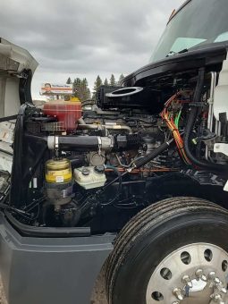 2019 Freightliner Cascadia 126 full