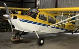 2003 AMERICAN CHAMPION 7-GCAA ADVENTURE full