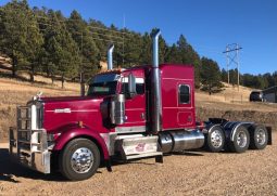 2020 KENWORTH W900 full