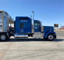 2020 KENWORTH W900 full