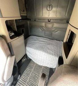 2020 FREIGHTLINER CASCADIA 125 EVOLUTION full