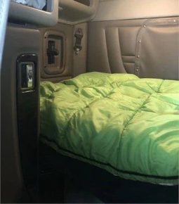 2019 PETERBILT 389 full