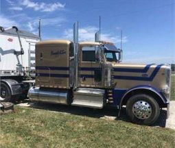 2019 PETERBILT 389 full