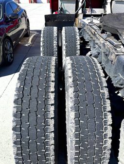 2019 Peterbilt 389 full