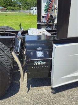 2017 FREIGHTLINER CASCADIA 125 EVOLUTION full