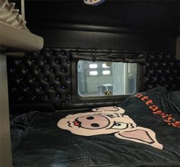 2017 KENWORTH W900L full