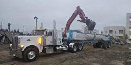 2018 PETERBILT 389