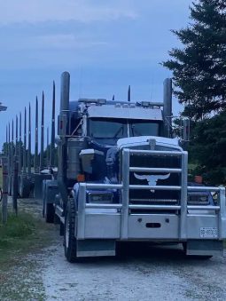 2015 Kenworth W900L GGGG Glider full