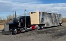 2019 KENWORTH W900L