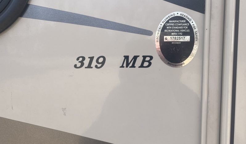 2020 COACHMEN LEPRECHAUN 319MB full