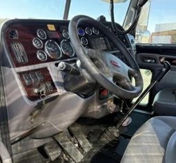 2014 PETERBILT 389 full