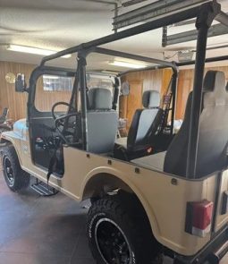 2019 Mahindra Roxor Diesel 4WD full
