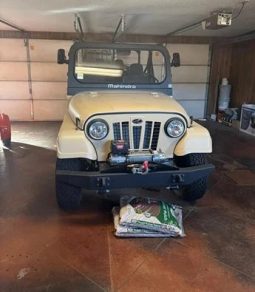 2019 Mahindra Roxor Diesel 4WD full