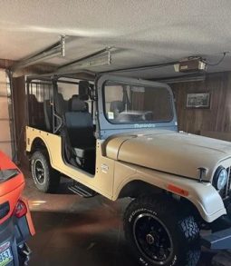 2019 Mahindra Roxor Diesel 4WD full