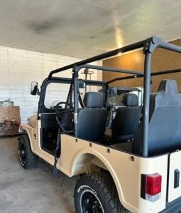 2019 Mahindra Roxor Diesel 4WD full