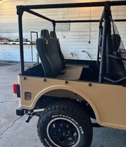 2019 Mahindra Roxor Diesel 4WD full